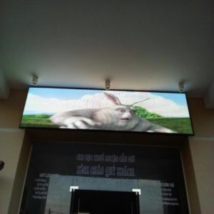 MÀN HÌNH LED P5 INDOOR - CHI CỤC THUẾ HUYỆN CẦN GIỜ - TP.HCM
