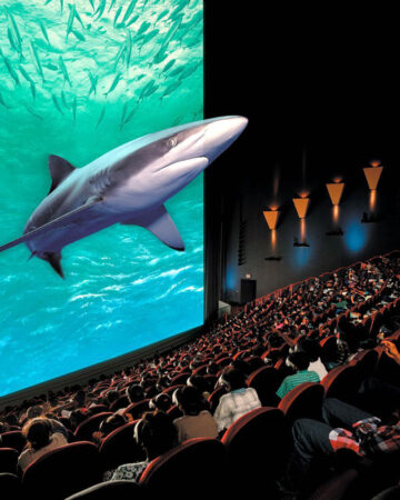 Màn chiếu bạc 3D thông dụng trong rạp chiếu phim