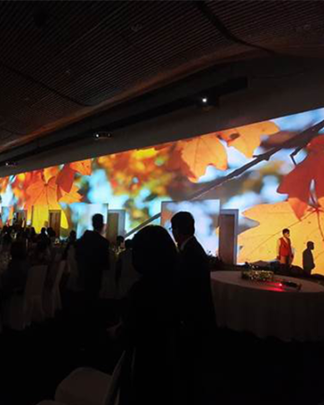 Màn Gauze cho khả năng trình chiếu vô cùng ấn tượng